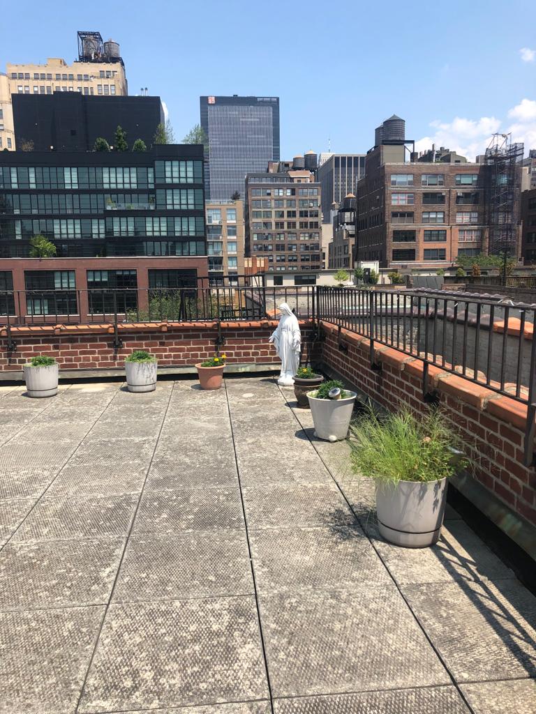 roof-3.jpeg